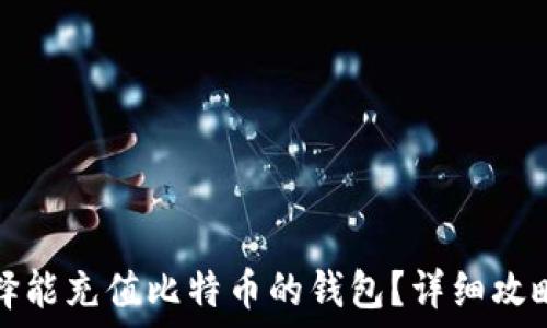   
如何选择能充值比特币的钱包？详细攻略与推荐