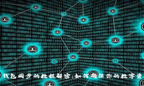 比特币钱包同步的数据解密：如何确保你的数字资产安全