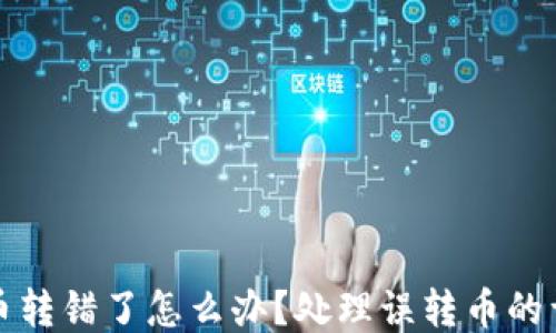 TP钱包币转错了怎么办?处理误转币的详细指南