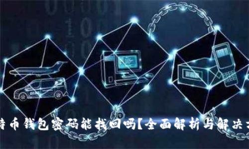 比特币钱包密码能找回吗?全面解析与解决方案