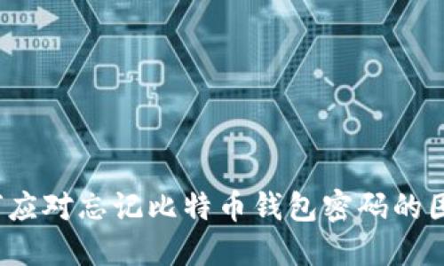 如何应对忘记比特币钱包密码的困境?