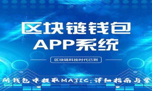 如何在交易所钱包中提取MATIC:详细指南与常见问题解答