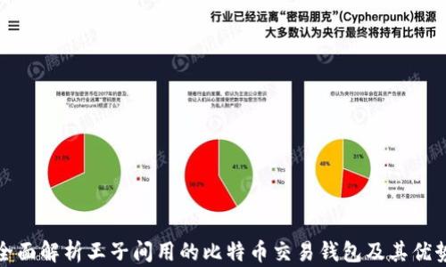 全面解析王子间用的比特币交易钱包及其优势