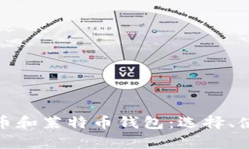 全面解析比特币和莱特币钱包:选择、使用与安全策略