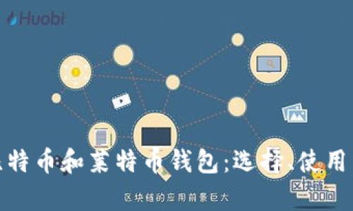 全面解析比特币和莱特币钱包:选择、使用与安全策略
