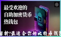 全面解析：最适合你的比特币钱包推荐