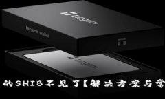 转到冷钱包的SHIB不见了？解决方案与