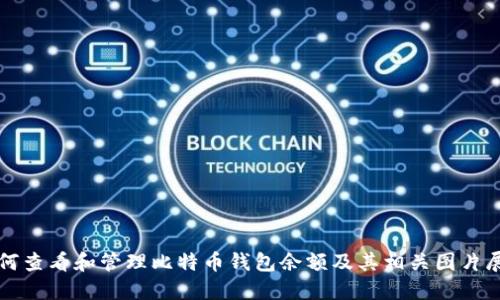 如何查看和管理比特币钱包余额及其相关图片展示
