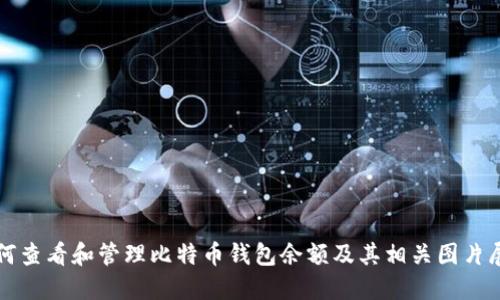 如何查看和管理比特币钱包余额及其相关图片展示