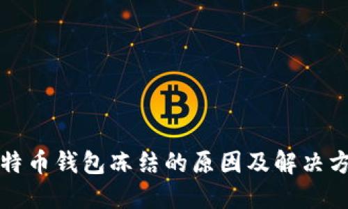 比特币钱包冻结的原因及解决方案