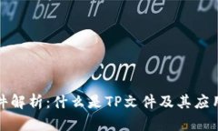 TP文件解析：什么是TP文件及其应用场