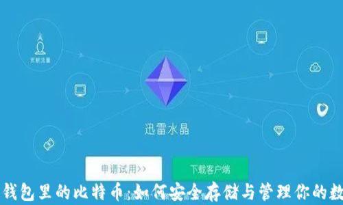 比特币钱包里的比特币:如何安全存储与管理你的数字资产