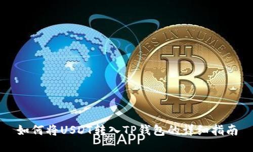 如何将USDT转入TP钱包的详细指南