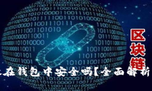 比特币存放在钱包中安全吗?全面解析存储安全性