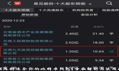 如何选择适合你的比特币钱包？全面解