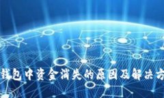 TP钱包中资金消失的原因及解决方案