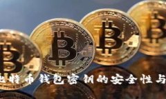 2009年比特币钱包密钥的安全性与使用