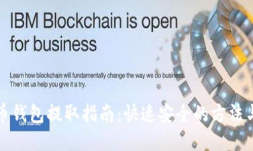 比特币钱包提取指南:快速安全的方法与技巧