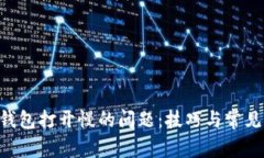 解决LTC钱包打开慢的问题：技巧与常见