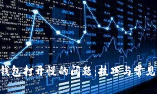 解决LTC钱包打开慢的问题：技巧与常见原因分析