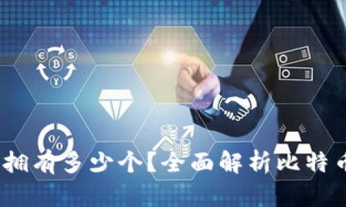比特币钱包：你可以拥有多少个？全面解析比特币钱包的种类与管理