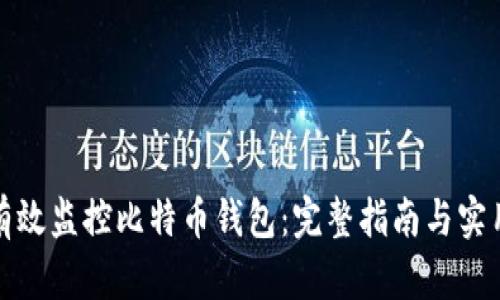 如何有效监控比特币钱包:完整指南与实用技巧