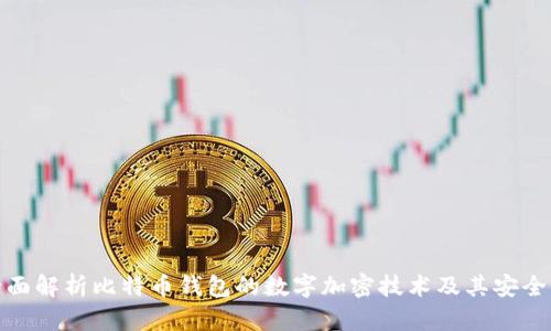 全面解析比特币钱包的数字加密技术及其安全性
