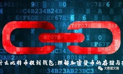 为什么比特币提到钱包:理解加密货币的存储与安全