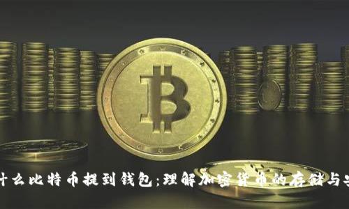 为什么比特币提到钱包:理解加密货币的存储与安全