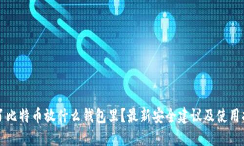 买了比特币放什么钱包里?最新安全建议及使用指南