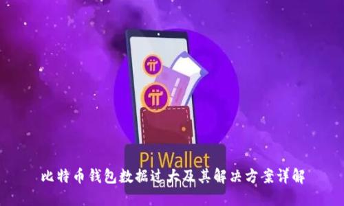 比特币钱包数据过大及其解决方案详解