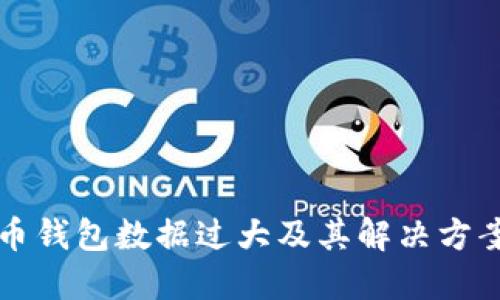 比特币钱包数据过大及其解决方案详解