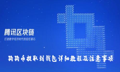 狗狗币提取到钱包详细教程及注意事项