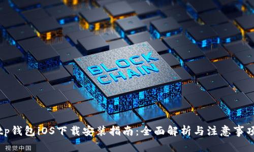 tp钱包iOS下载安装指南:全面解析与注意事项