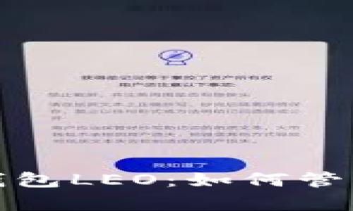 全面解析谷歌钱包LEO：如何管理你的数字支付