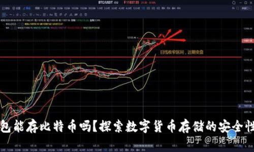 巴比特钱包能存比特币吗？探索数字货币存储的安全性与便利性