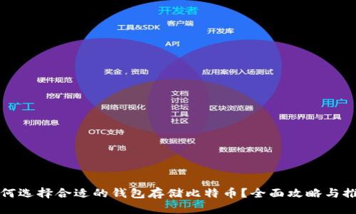 如何选择合适的钱包存储比特币?全面攻略与推荐