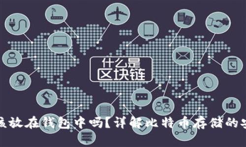 比特币应该放在钱包中吗？详解比特币存储的安全与风险