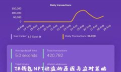 TP钱包NFT被盗的原因与应对策略