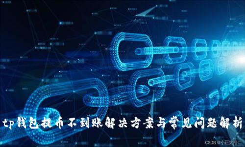 tp钱包提币不到账解决方案与常见问题解析