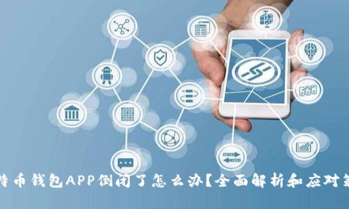 比特币钱包APP倒闭了怎么办？全面解析和应对策略