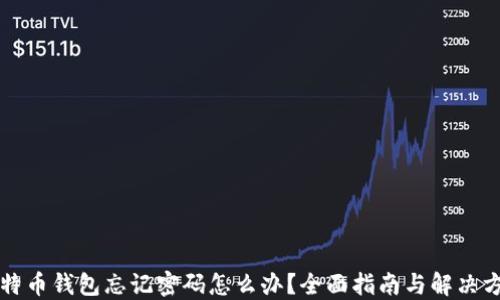 比特币钱包忘记密码怎么办?全面指南与解决方案