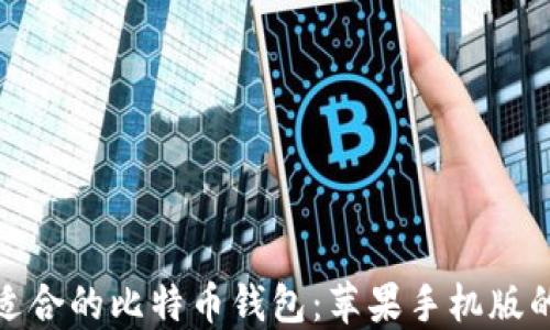 
如何选择适合的比特币钱包：苹果手机版的最佳选择