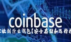 LTC放到什么钱包？安全存储和选择指南