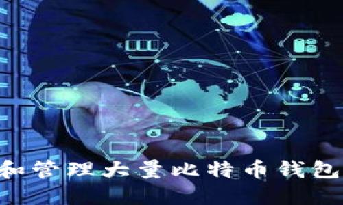 如何建立和管理大量比特币钱包:完整指南