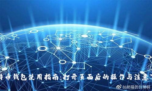 比特币钱包使用指南:打开页面后的操作与注意事项
