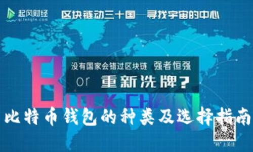 比特币钱包的种类及选择指南