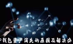 TP钱包资产消失的原因及解决办法