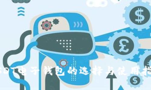 USDT电子钱包的选择与使用指南