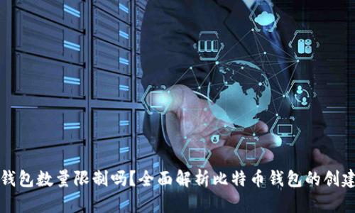 比特币钱包数量限制吗?全面解析比特币钱包的创建与管理